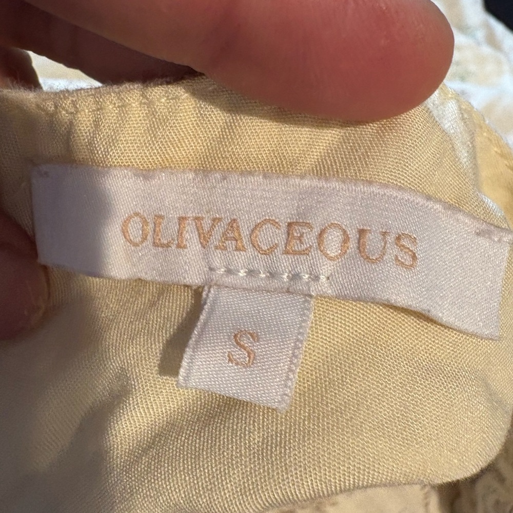 Olivaceous Cream Puff Sleeve Midi Dress - Picture 5 of 5